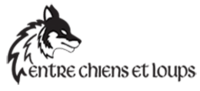 Entre chiens et loups